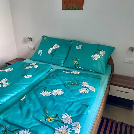 Apartment Anton *